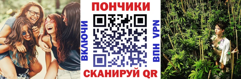 Бошки Шишки семена Обоянь